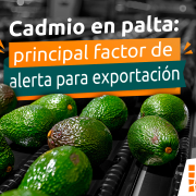 cadmio en palta de exportación en Perú