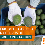 período de carencia